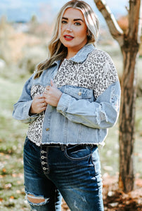 Leopard Accent Denim Jacket