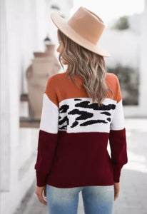 Rust & Burgundy Leopard Spliced Sweater