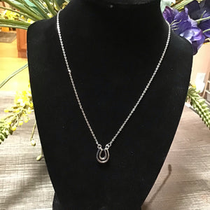 Horse Shoe Accent Necklace